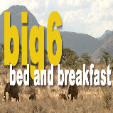 Logo von "www.big6-somersetwest.com".